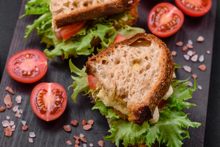 Delicious caprese sandwich with grilled toast, mozzarella, lettuce and tomatoes on a dark concrete backgroundの写真素材