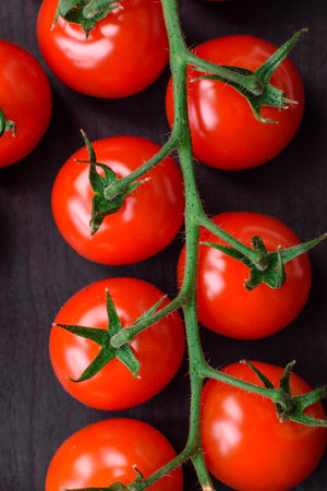 Delicious fresh cherry tomatoes on a twig with spices and herbs on a dark concrete backgroundの写真素材
