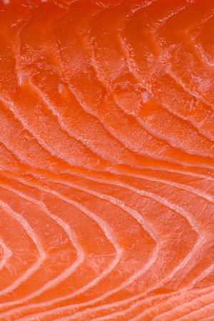 Fresh raw salmon red fish fillet with salt and spices on a dark concrete background