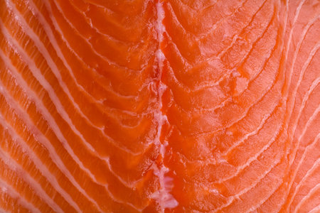 Fresh raw salmon red fish fillet with salt and spices on a dark concrete backgroundの写真素材