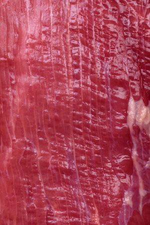 Juicy raw beef with spices, salt and herbs on a dark concrete background. Preparing to cook a meat...