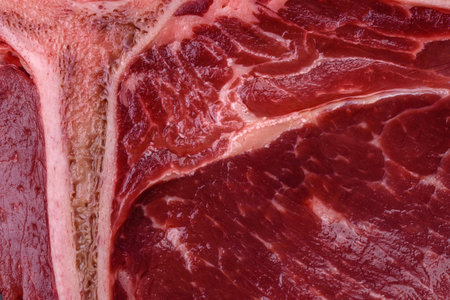 Raw juicy beef t-bone steak with salt, spices and herbs on a textured concrete backgroundの写真素材