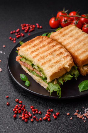 Delicious crispy sandwich with toast, salmon, avocado, tomatoes, salt, spices and herbs on a dark concrete backgroundの写真素材