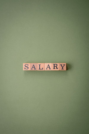 The inscription Salary made of wooden cubes on a plain background. Can be used for your designの写真素材