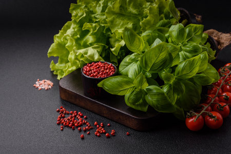Fresh herbs basil in the form of a bush as an ingredient for cooking at home on a dark concrete backgroundの写真素材