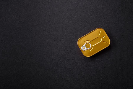 Metal can with canned meat or fish with a key to open it on a dark concrete backgroundの写真素材