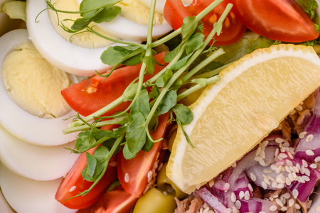 Salad with tuna pieces, boiled egg, cherry tomatoes, lettuce, salt, spices and microgreensの写真素材