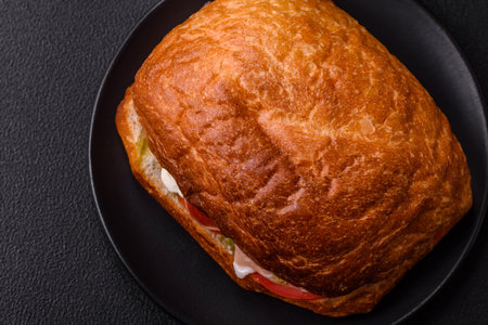 Ciabata with jamon or prosciutto, tomatoes, cheese and lettuce with salt, spices and herbsの写真素材