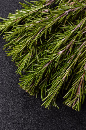 Fresh green rosemary sprigs prepared for cooking, on dark concrete backgroundの写真素材