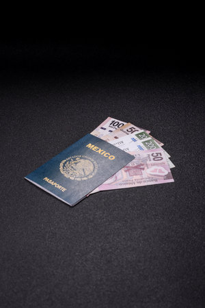 International biometric passport of a citizen of Mexico on the dark backgroundの写真素材