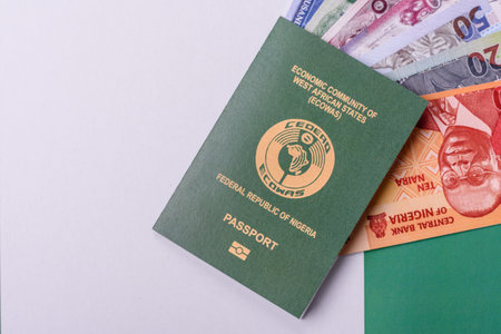Nigerian International Citizen Passport for global business, emigration and travelの写真素材