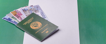 Nigerian International Citizen Passport for global business, emigration and travelの写真素材