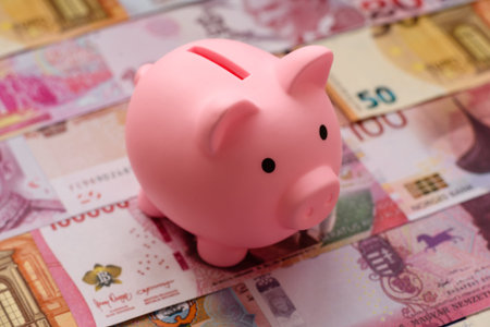 A piggy bank as a concept for storing, accumulating, and saving financial resources. A piggy bank as...