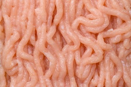 Raw ground chicken for burgers and other food. Raw minced chicken meat as a food background for your designの写真素材
