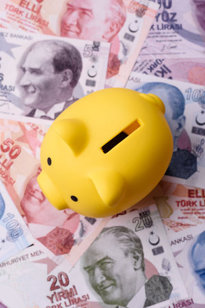 A piggy bank as a concept for storing, accumulating, and saving financial resources. A piggy bank as...