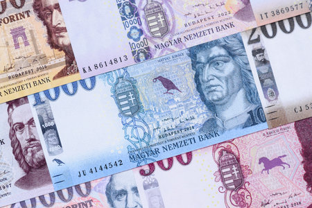 Hungarian forint, cash, currency of Hungary, banknotes for financial transactions. Hungarian forint as a financial background for your designの写真素材