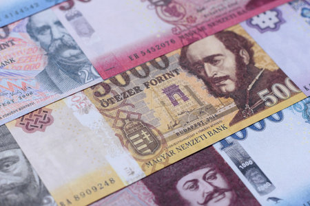 Hungarian forint, cash, currency of Hungary, banknotes for financial transactions. Hungarian forint as a financial background for your designの写真素材