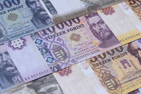 Hungarian forint, cash, currency of Hungary, banknotes for financial transactions. Hungarian forint as a financial background for your designの写真素材
