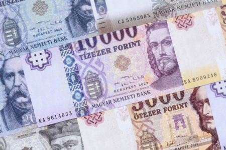 Hungarian forint, cash, currency of Hungary, banknotes for financial transactions. Hungarian forint as a financial background for your designの写真素材