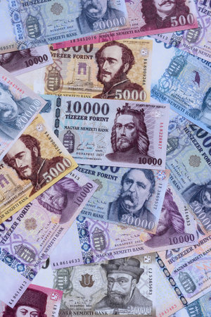 Hungarian forint, cash, currency of Hungary, banknotes for financial transactions. Hungarian forint as a financial background for your designの写真素材