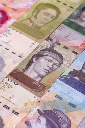 Venezuelan bolivar, cash, currency of Venezuela, banknotes for financial transactions. Venezuelan bolivar as a financial background for your designの写真素材
