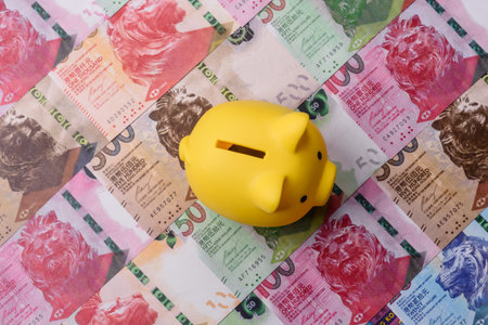 A piggy bank as a concept for storing, accumulating, and saving financial resources. A piggy bank as...