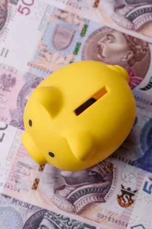 A piggy bank as a concept for storing, accumulating, and saving financial resources. A piggy bank as...