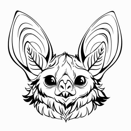 head of a cute bat, with shiny eyes and large earsのイラスト素材