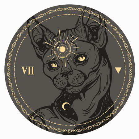 Image of an alchemical magic catのイラスト素材