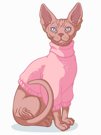 Sphynx cat sitting, dressed in a warm jacketのイラスト素材