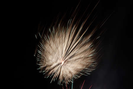 Sparks celebratory salute against a black backdrop of the sky.