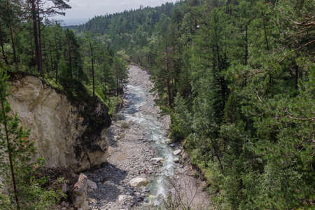 Mountain river among the green forest.の写真素材