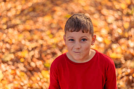 little boy in red with a beautiful smile stands in autumn park on fallen foliageの写真素材