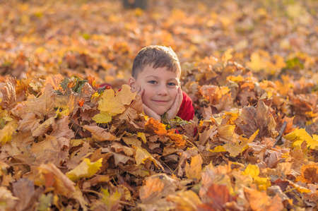 little boy hid in fallen autumn yellow foliage in the parkの写真素材