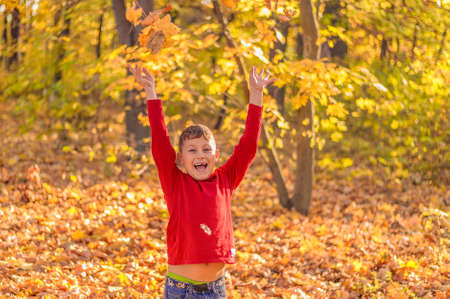 funny little boy rejoices falling yellow foliage on him in the autumn parkの写真素材