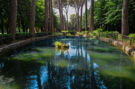 Beautiful lake (pond) in the green forestの写真素材