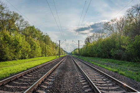 two railway tracks go into the distance in the middle of a green forestの写真素材