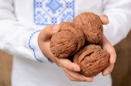 The children's hand holds walnuts. The concept of healthy foodの写真素材