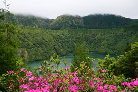 Close up beautiful view of pink flowers to background lake and foggy forest. Azores, Sao Miguel, Portugalの写真素材