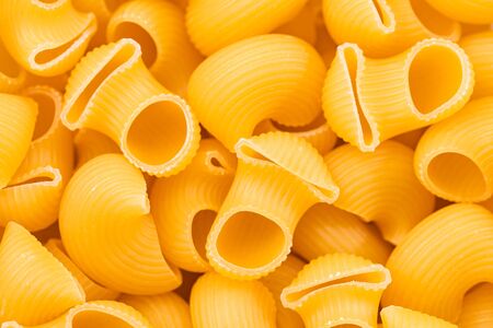 Wholemeal pasta - Italian cuisine concept. Closeup food background.