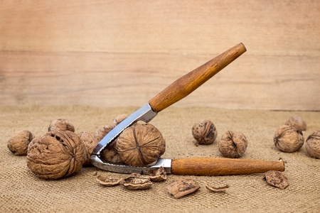 
Walnuts on canvas, close up の写真素材