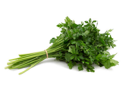 Fresh green parsley isolated on white background, food ingredientの写真素材