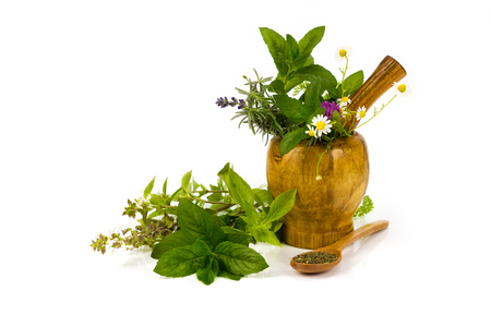 mortar with fresh herbs isolated over whiteの写真素材