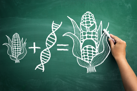 gmo concept
gmo concept on a blackboardの写真素材