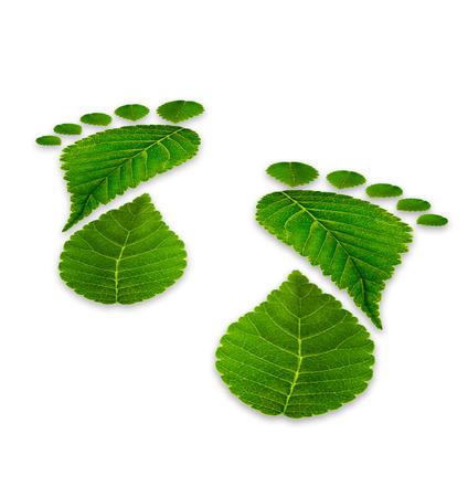 leaves footprints on a white background, relating to the environment, back viewの写真素材
