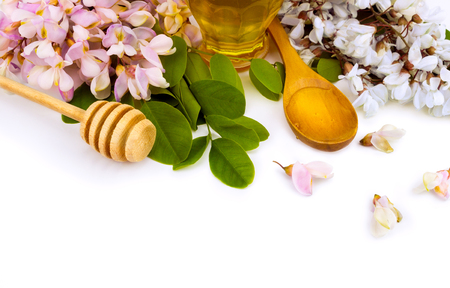 acacia honey in wooden spoon owe whiteの写真素材