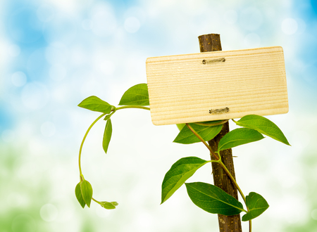 sign for message on a wooden panel and green plant, concept ecofriendlyの写真素材