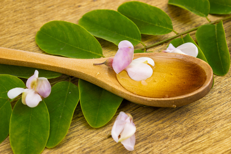 Acacia honey in a wooden spoonの写真素材