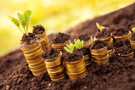 Stack of rising golden coins on soilの写真素材