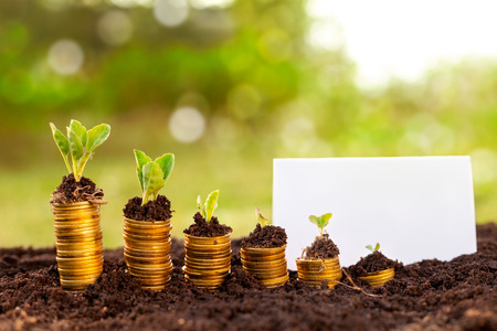 Rising golden coins on soil and blank white paperの写真素材